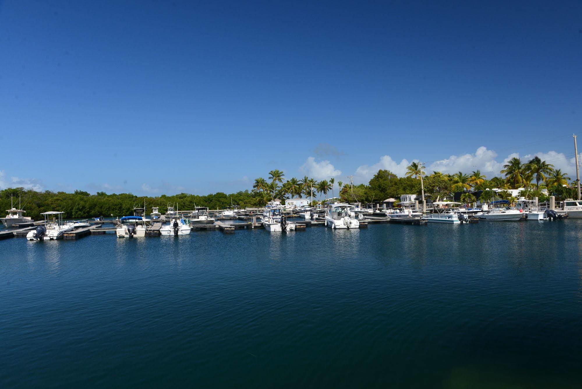 Sunshine Key Rv Resort & Marina Big Pine Key Exteriér fotografie